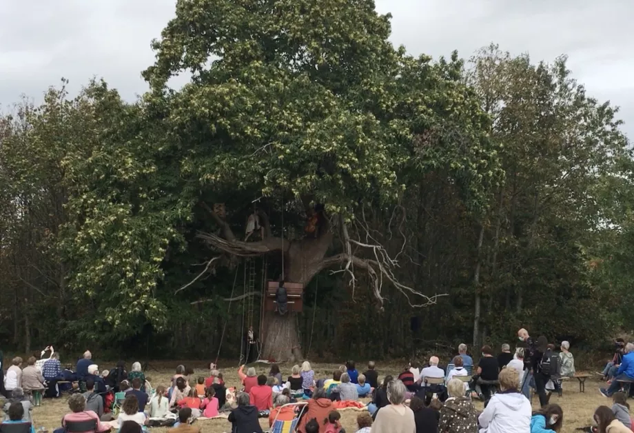 Concerts, spectacles, expositions