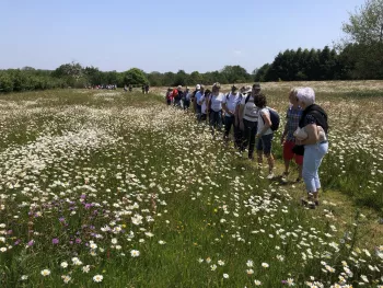 Les chemins d'Eléonore - Visites guidées dans un jardin riche en biodiversité