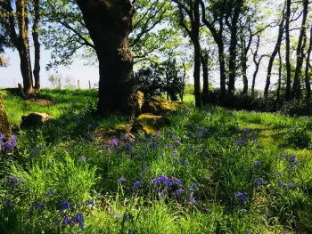 Les chemins d'Eléonore - Visites guidées dans un jardin riche en biodiversité