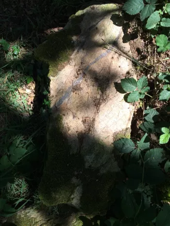 Les chemins d'Eléonore - Visites guidées dans un jardin riche en biodiversité
