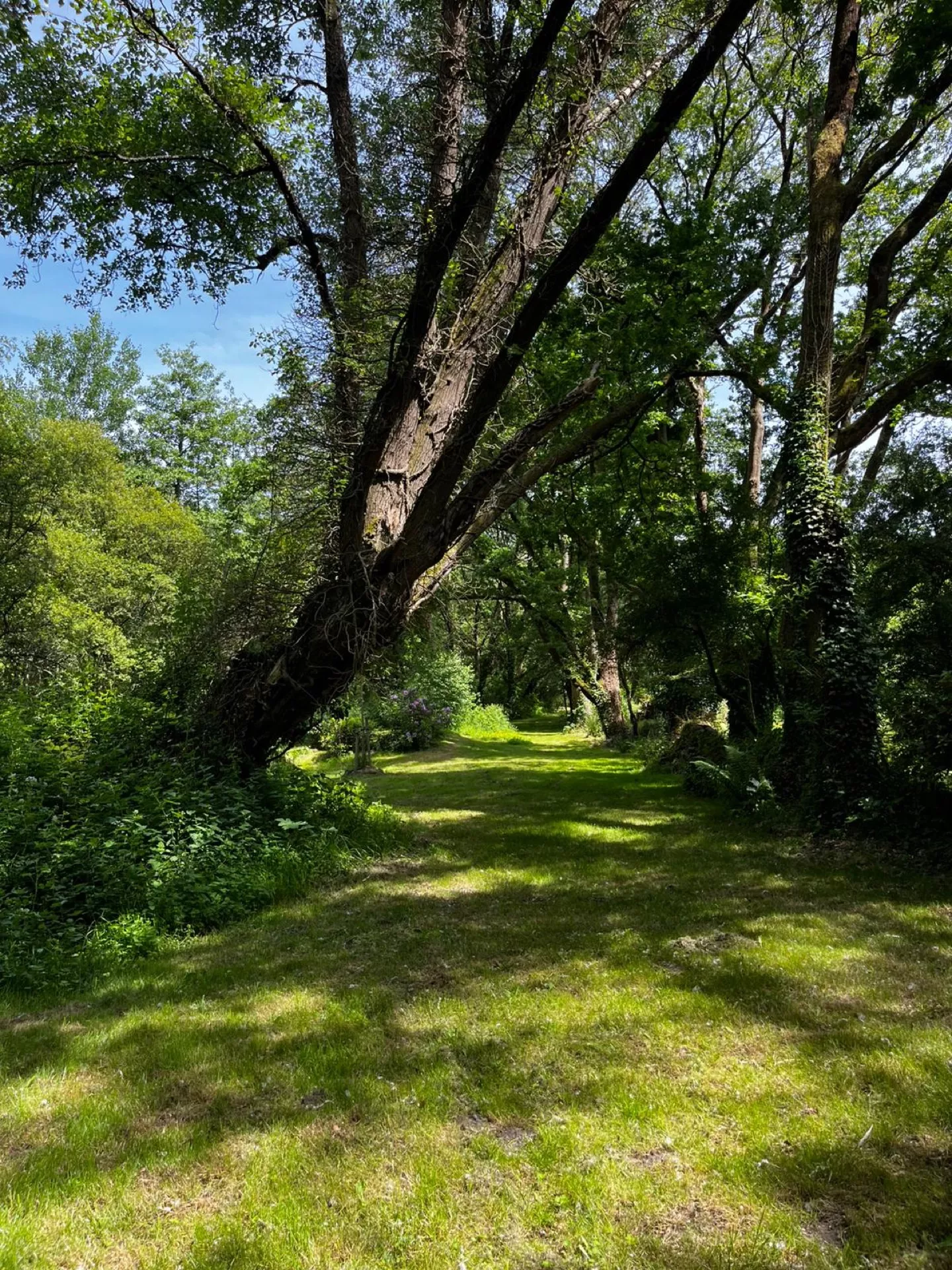 Les chemins d'Eléonore - Visites guidées dans un jardin riche en biodiversité