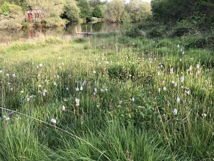 Les chemins d'Eléonore - Visites guidées dans un jardin riche en biodiversité