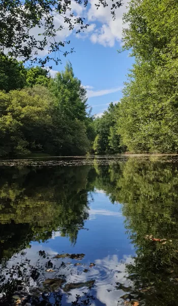 Les chemins d'Eléonore - Visites guidées dans un jardin riche en biodiversité