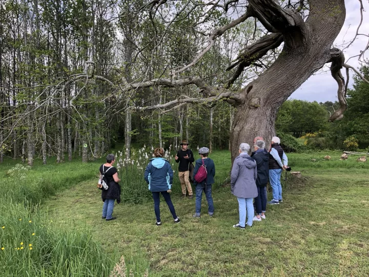 Les chemins d'Eléonore - Visites guidées dans un jardin riche en biodiversité