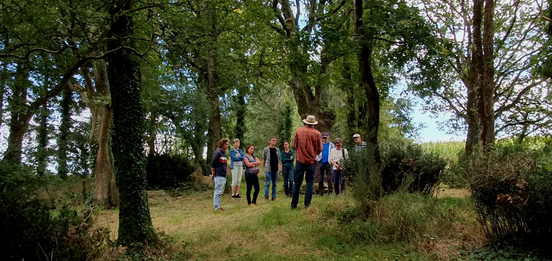 Les chemins d'Eléonore - Visites guidées dans un jardin riche en biodiversité