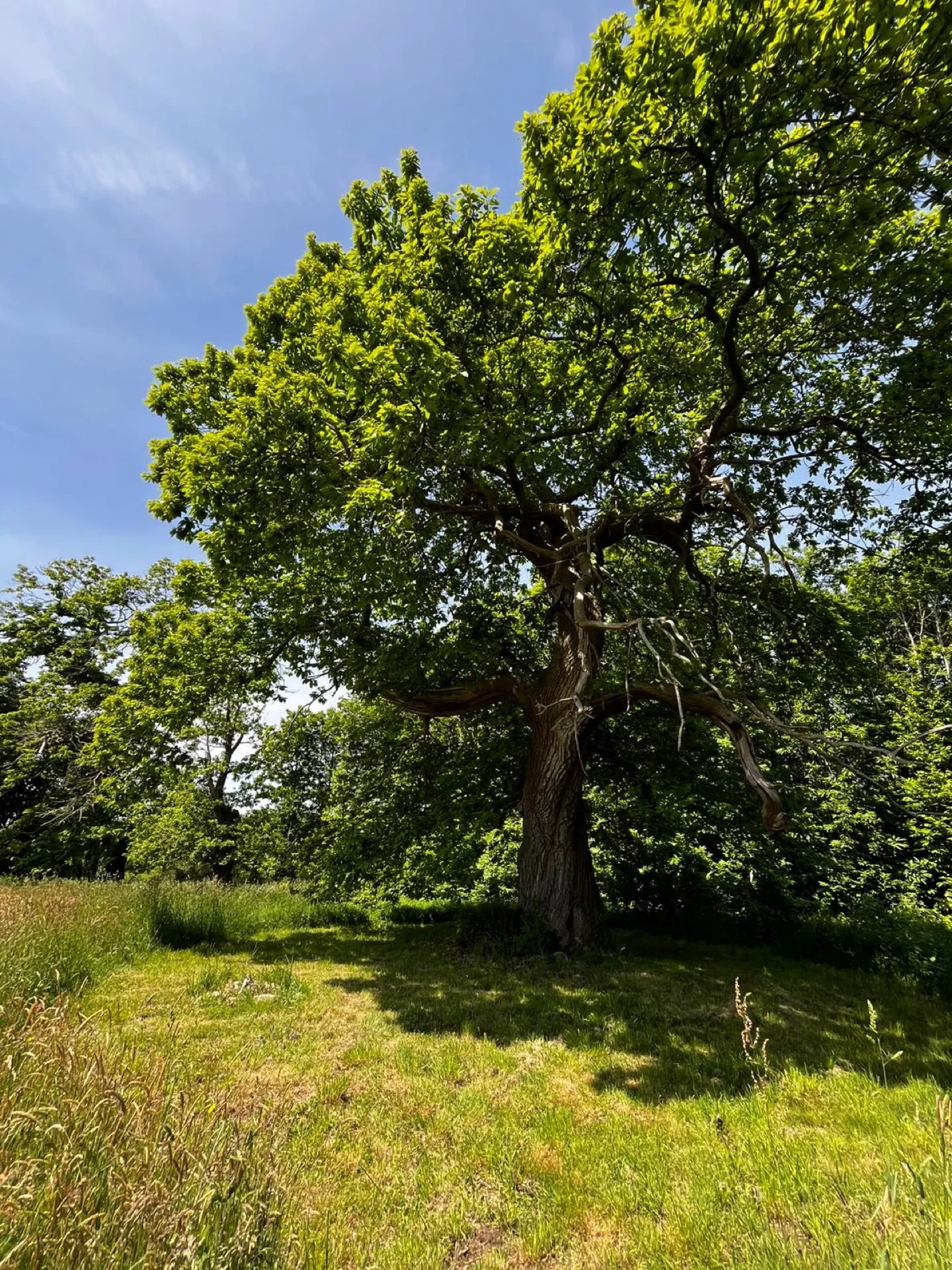 Les chemins d'Eléonore - Visites guidées dans un jardin riche en biodiversité
