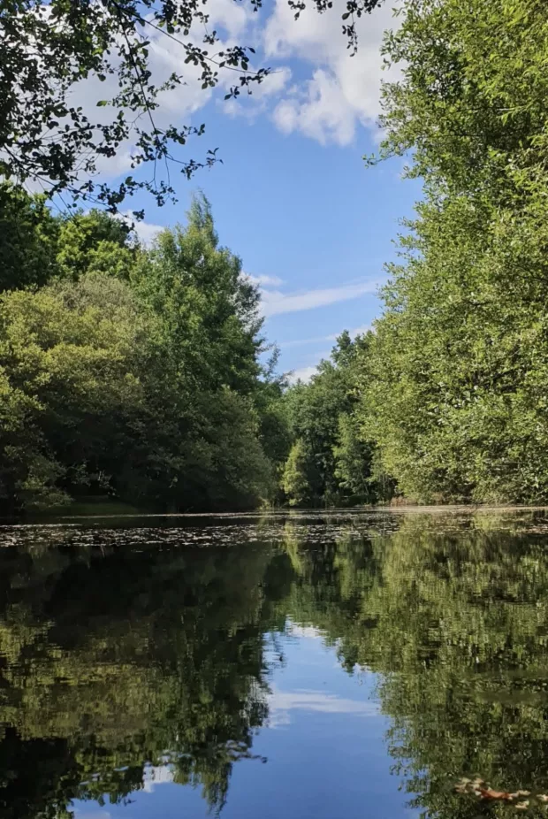 Les chemins d'Eléonore - Visites guidées dans un jardin riche en biodiversité