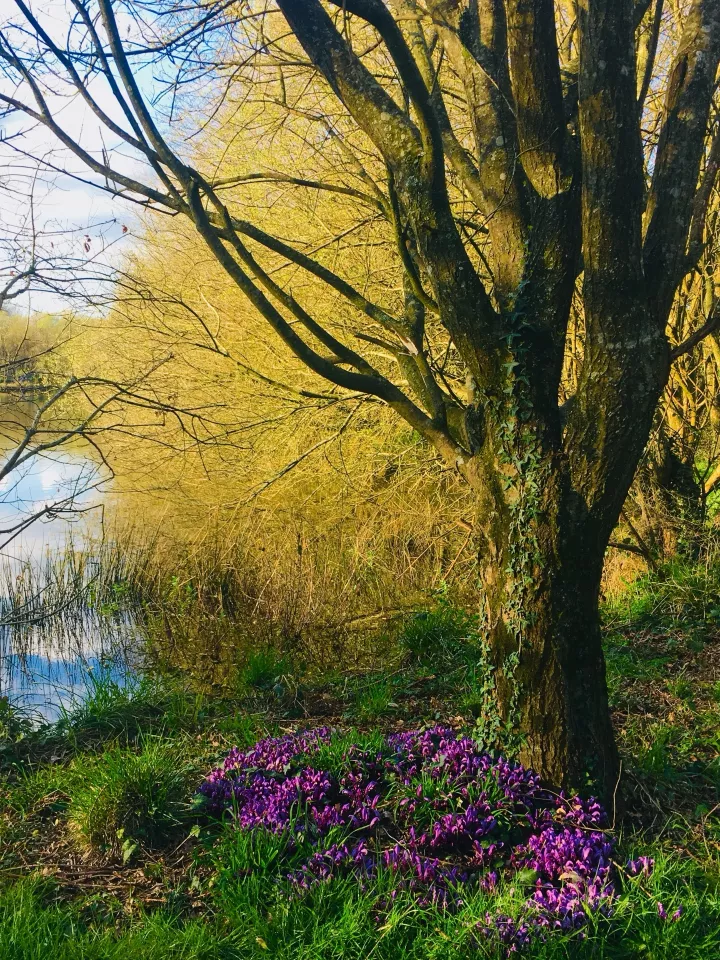 Les chemins d'Eléonore - Visites guidées dans un jardin riche en biodiversité