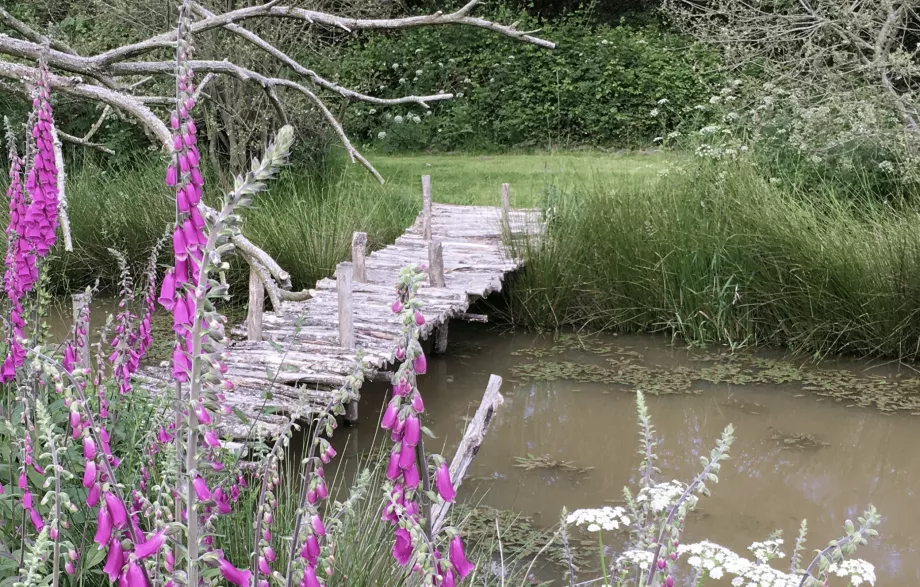 Les balades commentées